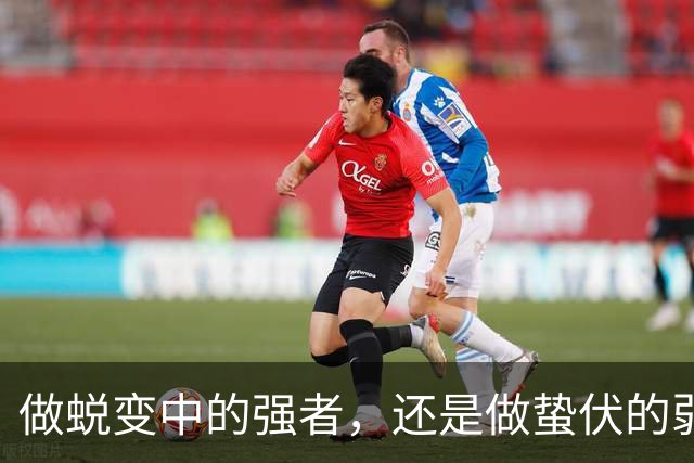 做蜕变中的强者，还是做蛰伏的弱者？宁波FC再战广西恒宸有玄机