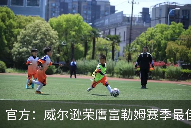 官方：威尔逊荣膺富勒姆赛季最佳球员，得票35.6%