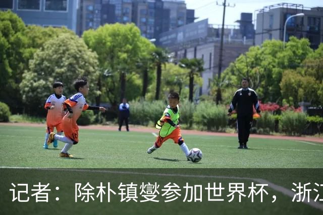 记者：除朴镇燮参加世界杯，浙江队外援全部抵达陕西冲击足协杯